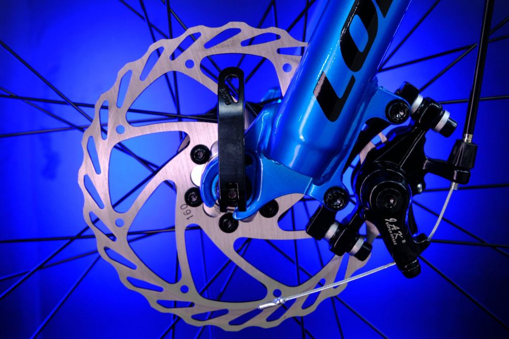 LORAK SHARK 26 GOLD Золотой синий