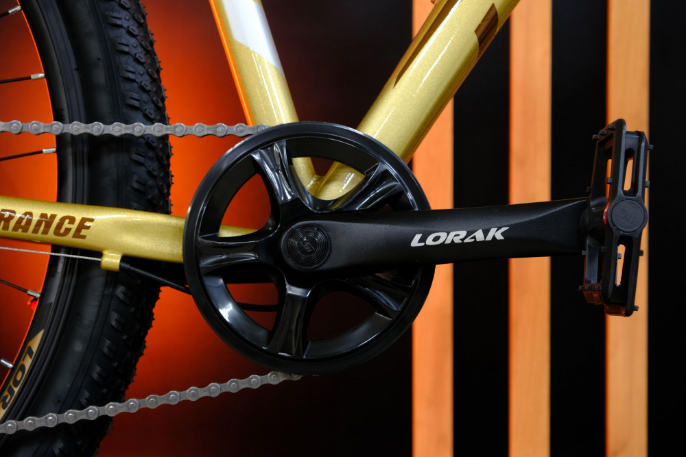 LORAK GLORY 9 Золотисто Серый рама 17 (на рост 155-173)